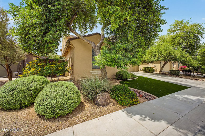 1577 W Swan Pl, Chandler, AZ 85286