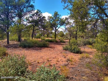 15777 Lucy Ln #V, Prescott, AZ 86305
