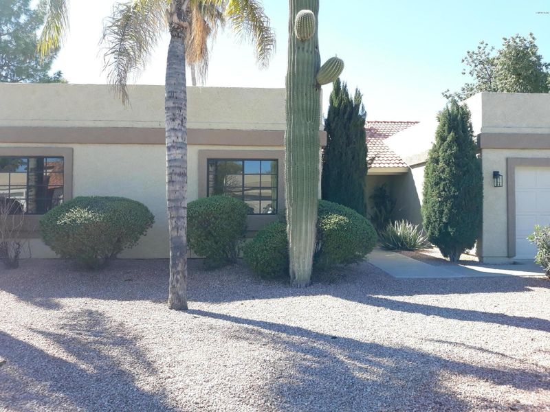 1579 E Whitten St, Chandler, AZ 85225