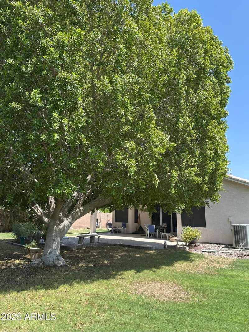 16032 N 7th Dr, Phoenix, AZ 85023