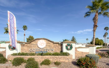 16101 El Mirage Rd #395, El Mirage, AZ 85335