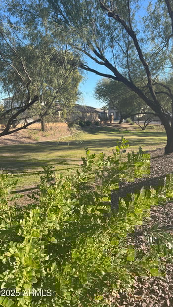 1616 Aspen Ave, Buckeye, AZ 85326