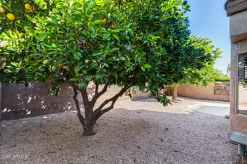 16178 Montoya Dr, Surprise, AZ 85374