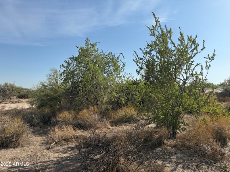 161XX E Dixileta Dr #-, Scottsdale, AZ 85262