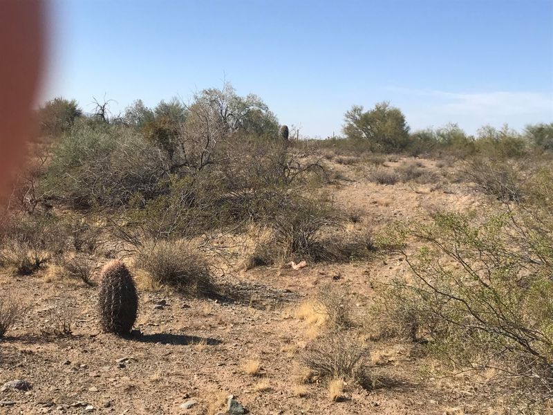 16232 W Saguaro Dr #-, Surprise, AZ 85387