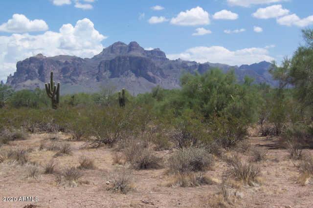 1624 E Concho St #13, Apache Junction, AZ 85119