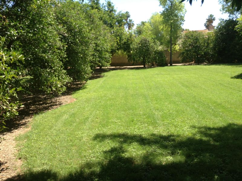 1632 E Elmwood St, Mesa, AZ 85203