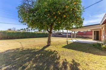 1637 Rovey Ave, Phoenix, AZ 85015