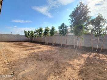 16405 Desert Mirage Dr, Surprise, AZ 85388