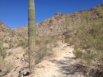 16442 16th Ln, Phoenix, AZ 85045