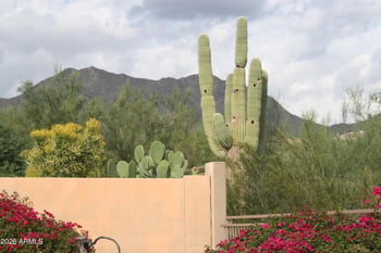 16469 N 106th Pl, Scottsdale, AZ 85255