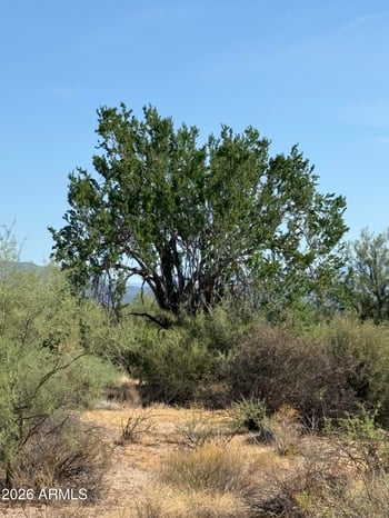 164xx E Morning Vista Dr #'-', Scottsdale, AZ 85262
