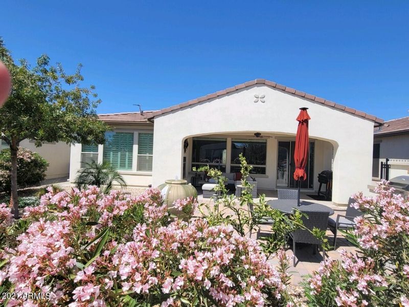 165 E Lemon Ln, San Tan Valley, AZ 85140