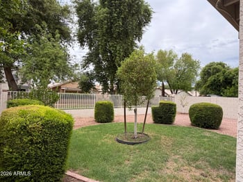 1651 Orchid Ln, Chandler, AZ 85224