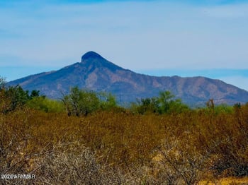 1654 Ortega Rd #32, Maricopa, AZ 85139