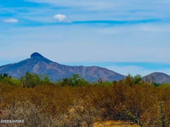 1654 Ortega Rd #32, Maricopa, AZ 85139