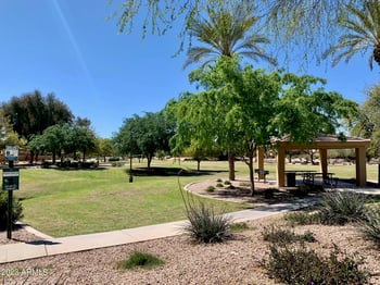 1655 Harrison St, Chandler, AZ 85225