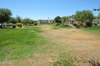 1659 83rd Pl, Mesa, AZ 85209