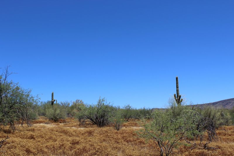 16600 E Dixileta Dr #-, Scottsdale, AZ 85262