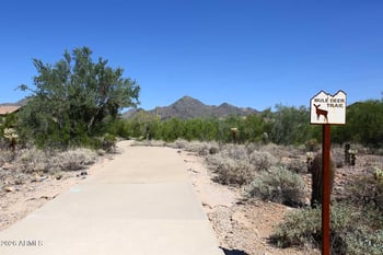 16600 Thompson Peak Pw #2085, Scottsdale, AZ 85260