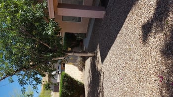 16610 32nd Pl, Phoenix, AZ 85048