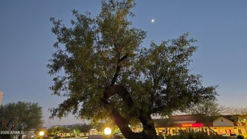 16616 Palisades Blvd #109, Fountain Hills, AZ 85268