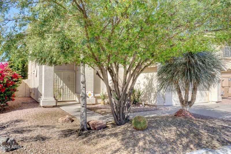 16630 S 14th Pl, Phoenix, AZ 85048
