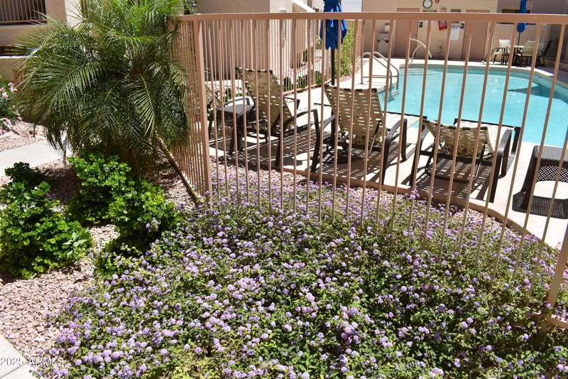 16631 El Lago Blvd #212, Fountain Hills, AZ 85268