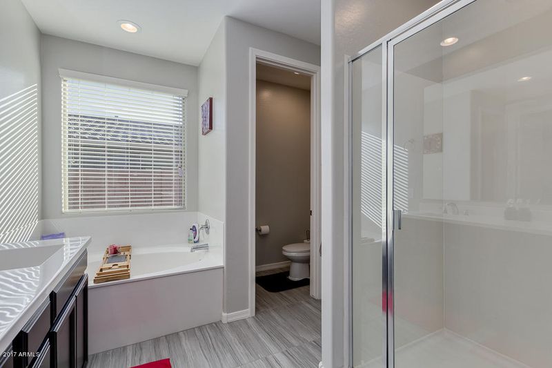 167 E Toscana Dr, San Tan Valley, AZ 85140