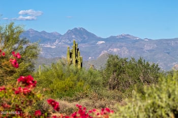 16738 Lone Mountain Rd, Scottsdale, AZ 85262