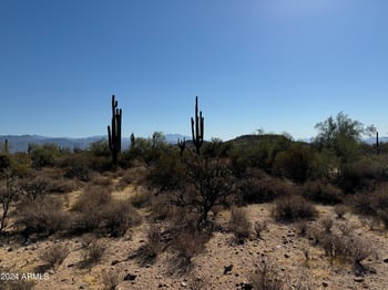 16800 Bajada Dr #-, Rio Verde, AZ 85263