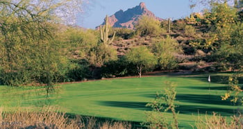 16800 E El Lago Blvd #1032, Fountain Hills, AZ 85268