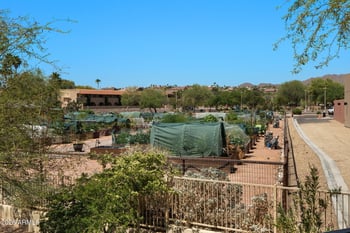 16800 El Lago Blvd #2076, Fountain Hills, AZ 85268