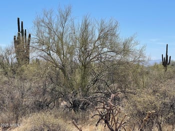 16800 168th St #-, Rio Verde, AZ 85263