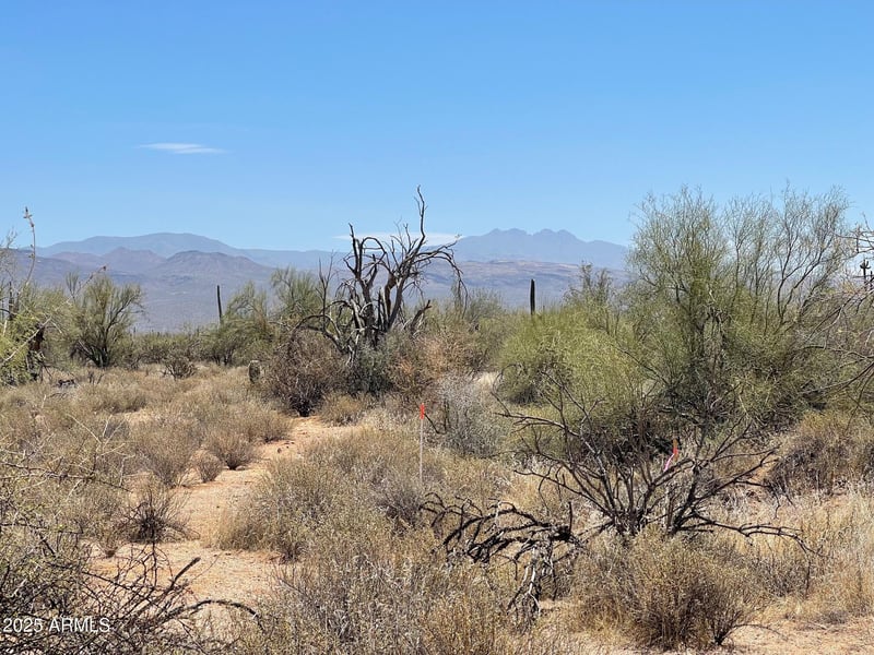 16800 168th St #-, Rio Verde, AZ 85263