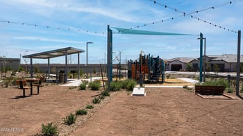 16828 Las Palmaritas Dr, Waddell, AZ 85355