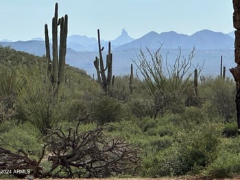 168XX Bajada Dr #D, Rio Verde, AZ 85263