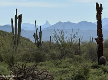 168XX Bajada Dr #D, Rio Verde, AZ 85263