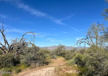 168xx 168 St #-, Rio Verde, AZ 85263