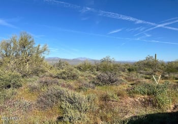 168xx 168 St #-, Rio Verde, AZ 85263