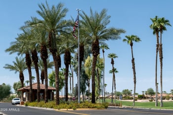 16945 Vernon Ave, Goodyear, AZ 85395