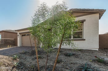 16961 Desert Ln, Goodyear, AZ 85338