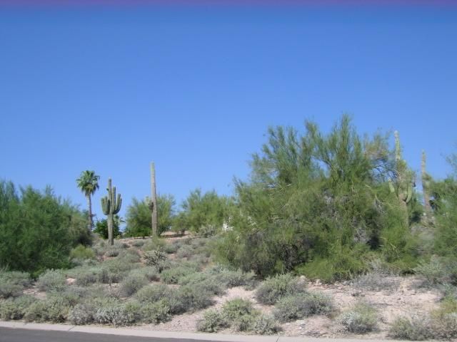 16962 E Parlin Dr #30, Fountain Hills, AZ 85268
