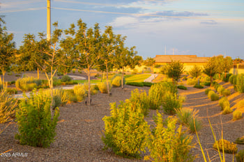 17007 El Caminito Dr, Waddell, AZ 85355