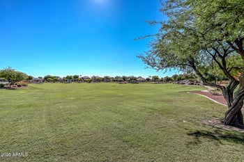 17037 Bradford Way, Surprise, AZ 85374