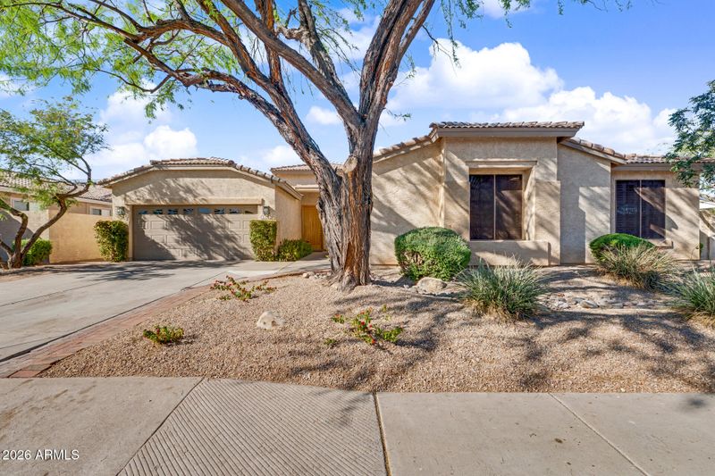 1708 E Knoll St, Mesa, AZ 85203