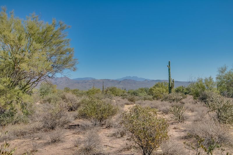 170XX E Lone Mountain --, Rio Verde, AZ 85263