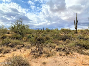 17100 E Lone Mountain Rd #-, Rio Verde, AZ 85263
