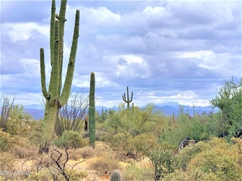 17100 E Lone Mountain Rd #-, Rio Verde, AZ 85263
