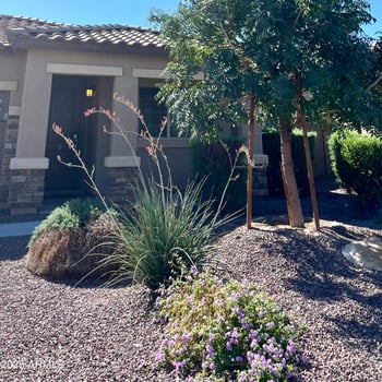 17123 Orchid Ln, Waddell, AZ 85355